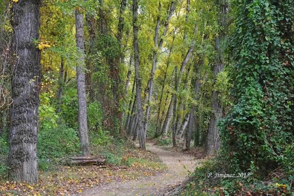 La Casa Del Rio, Piscina Natural A 5 Min En Coche Villacarrillo Εξωτερικό φωτογραφία